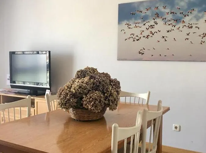 Vut Sencilla Y Comoda En Capital. * Ávila